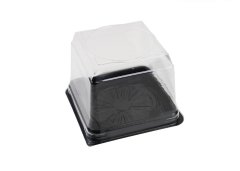 Plastic Fresh Cake Box Square 12x12 cm 100 Pieces