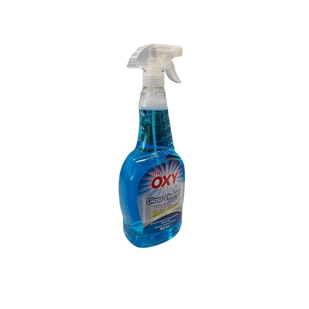 Deterjan Camsil 750 ml